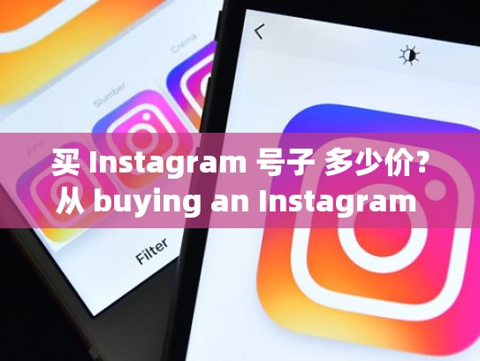 买 Instagram 号子 多少价？从 buying an Instagram account how much does it cost?买Instagram账号多少价