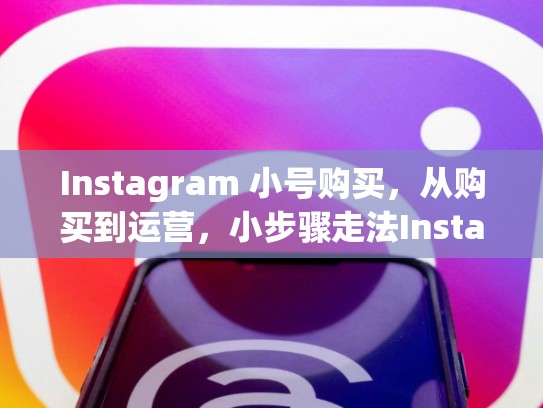 Instagram 小号购买，从购买到运营，小步骤走法Instagram小号购买