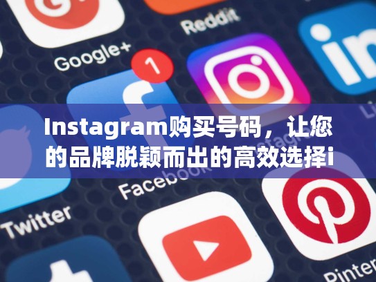Instagram购买号码，让您的品牌脱颖而出的高效选择instagram购买号码