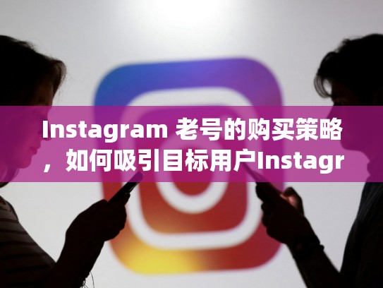 Instagram 老号的购买策略，如何吸引目标用户Instagram老号怎么买
