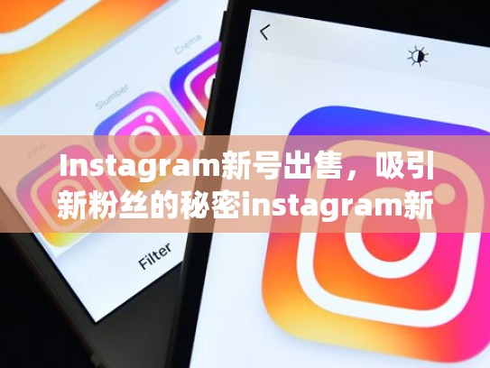 Instagram新号出售，吸引新粉丝的秘密instagram新号出售