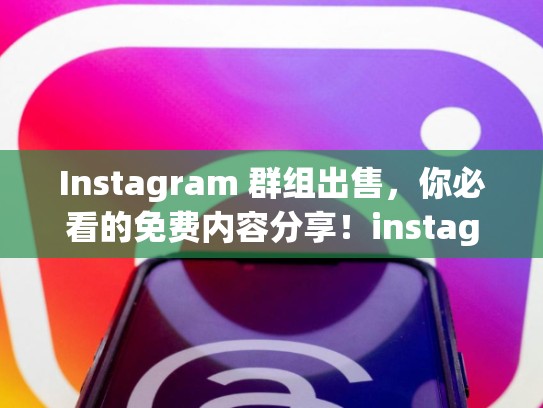 Instagram 群组出售，你必看的免费内容分享！instagram老号出售
