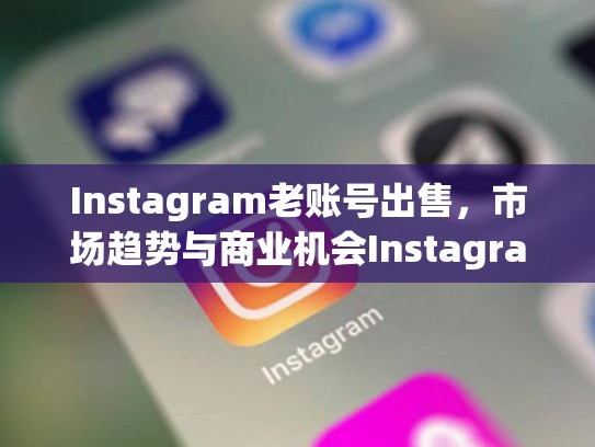 Instagram老账号出售，市场趋势与商业机会Instagram 老账号出售