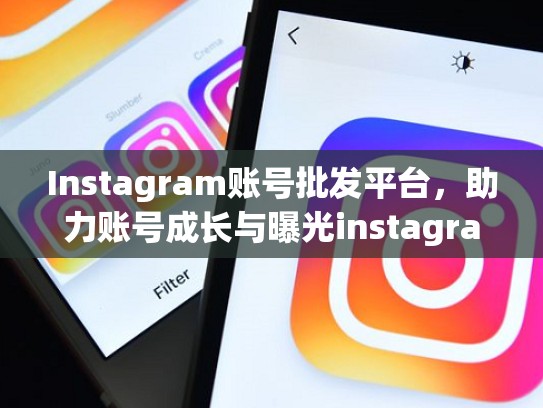 Instagram账号批发平台，助力账号成长与曝光instagram账号批发平台
