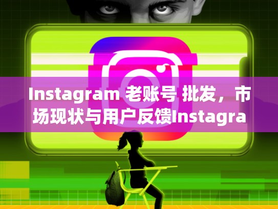 Instagram 老账号 批发，市场现状与用户反馈Instagram老账号批发
