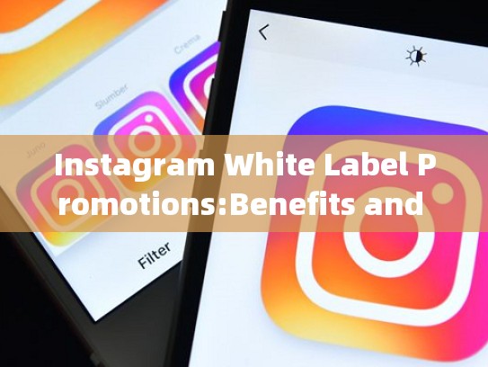 Instagram White Label Promotions:Benefits and How to Optimizeinstagram白号自助出售