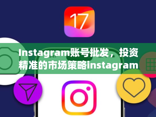 Instagram账号批发，投资精准的市场策略instagram 账号批发