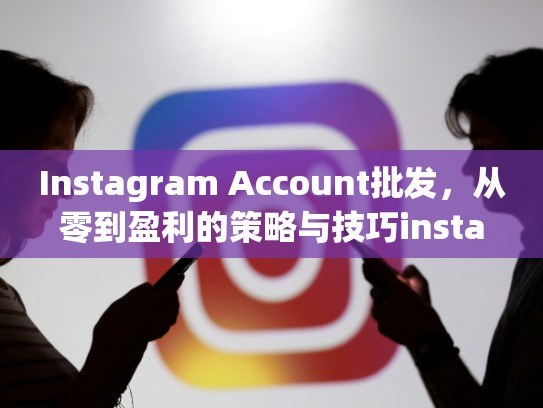 Instagram Account批发，从零到盈利的策略与技巧instagram账号批发