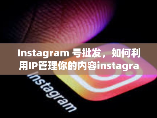 Instagram 号批发，如何利用IP管理你的内容instagram号批发