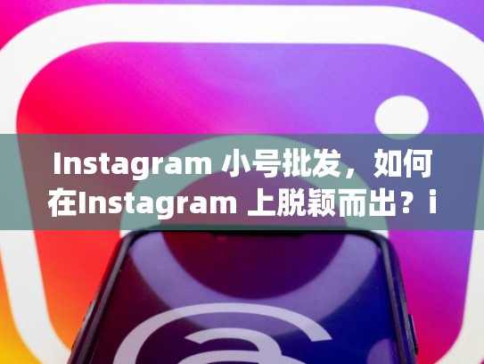 Instagram 小号批发，如何在Instagram 上脱颖而出？instagram小号批发