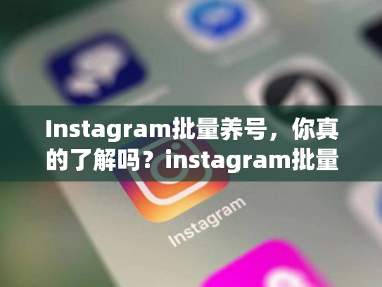 Instagram批量养号,你真的了解吗?instagram批量养号