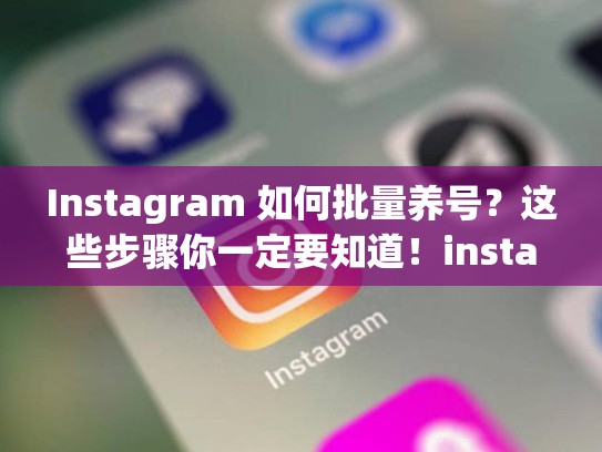 Instagram 如何批量养号？这些步骤你一定要知道！instagram如何批量养号