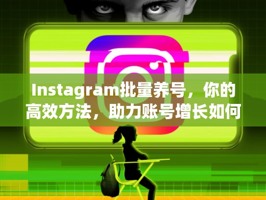 Instagram批量养号，你的高效方法，助力账号增长如何批量养号instagram