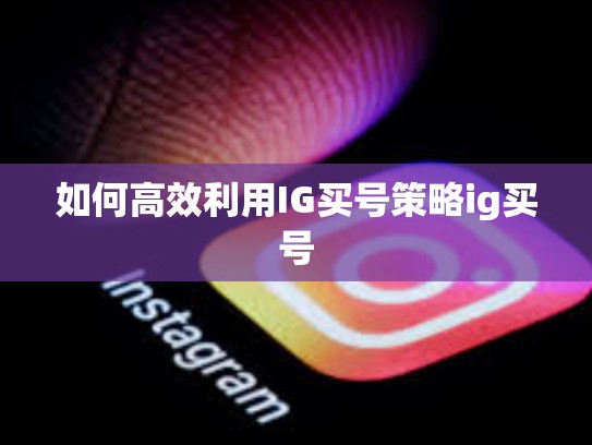 如何高效利用IG买号策略ig买号