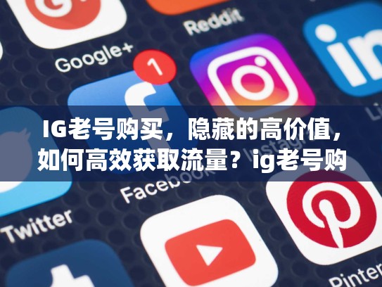 IG老号购买，隐藏的高价值，如何高效获取流量？ig老号购买，igxe买账号安全吗