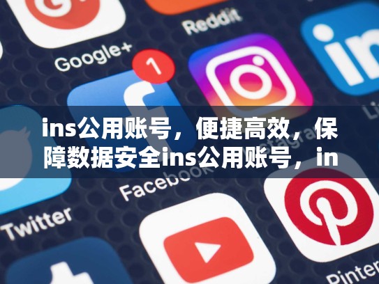 ins公用账号，便捷高效，保障数据安全ins公用账号，ins公共主页的账号名