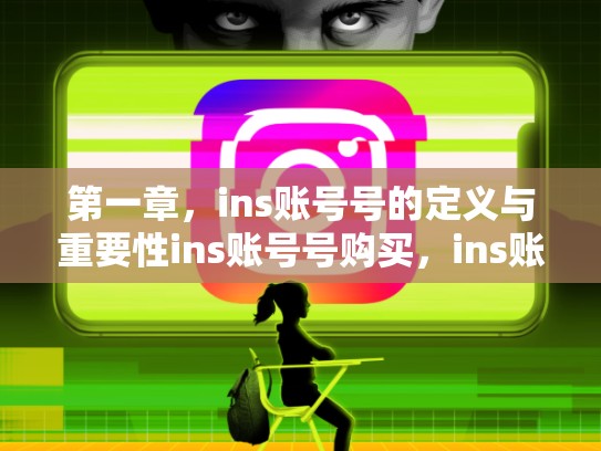 第一章，ins账号号的定义与重要性ins账号号购买，ins账户购买