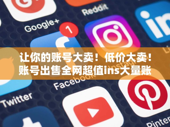 让你的账号大卖！低价大卖！账号出售全网超值ins大量账号出售，ins大量账号出售weifa吗