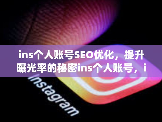 ins个人账号SEO优化，提升曝光率的秘密ins个人账号，instagram个人账户