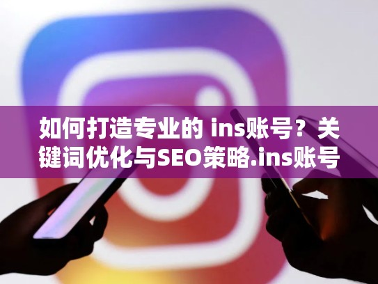 如何打造专业的 ins账号？关键词优化与SEO策略.ins账号，ins账号是什么意思