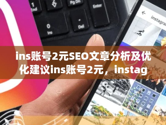 ins账号2元SEO文章分析及优化建议ins账号2元，instagram账号多少钱一个