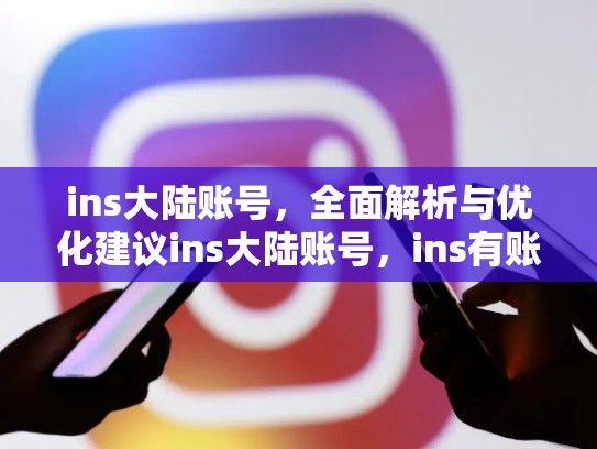 ins大陆账号，全面解析与优化建议ins大陆账号，ins有账号大陆可以用吗