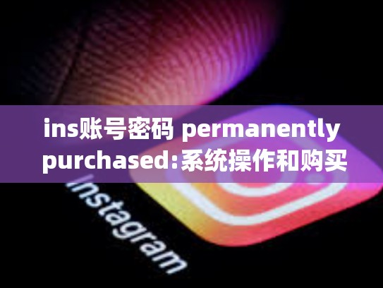 ins账号密码 permanently purchased:系统操作和购买指南ins账号密码永久账号购买，ins账号密码永久账号购买有风险吗