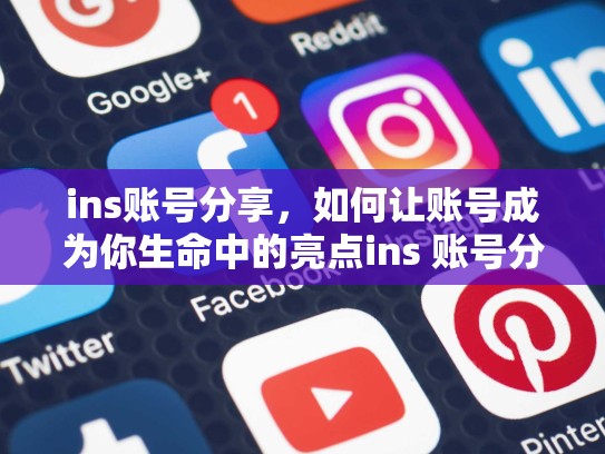 ins账号分享，如何让账号成为你生命中的亮点ins 账号分享，ins分享是什么意思