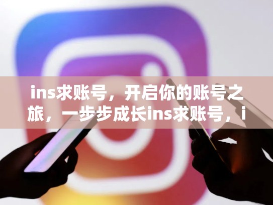ins求账号，开启你的账号之旅，一步步成长ins求账号，ins求注册