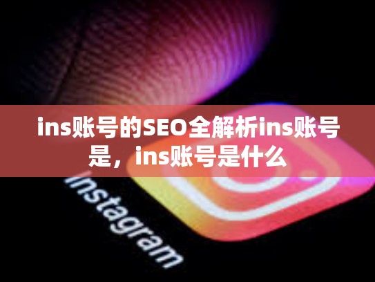 ins账号的SEO全解析ins账号是，ins账号是什么