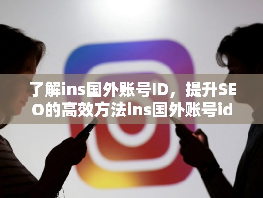 了解ins国外账号ID,提升SEO的高效方法ins国外账号id,ins在国外叫什么