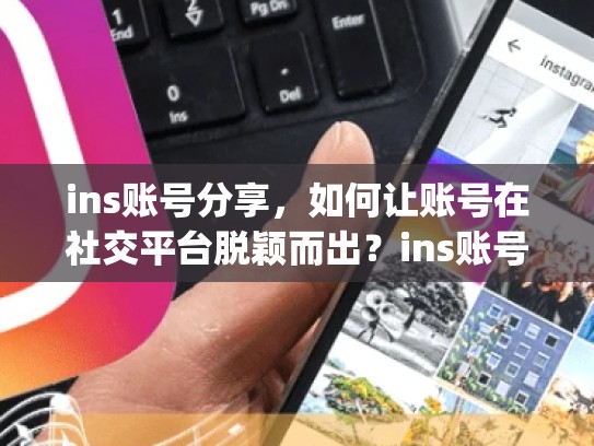 ins账号分享，如何让账号在社交平台脱颖而出？ins账号分享，instagram账号分享