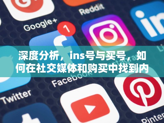 深度分析,ins号与买号,如何在社交媒体和购买中找到内心的平衡ins号 买号,ins账号多少钱