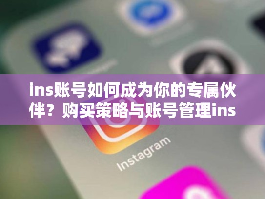 ins账号如何成为你的专属伙伴?购买策略与账号管理ins购买的ins账号,ins账户购买