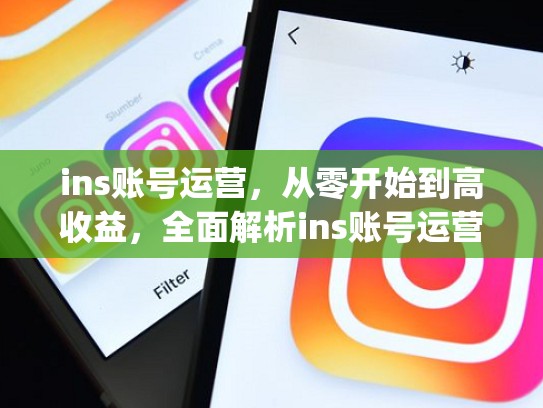 ins账号运营，从零开始到高收益，全面解析ins账号运营，instagram 运营
