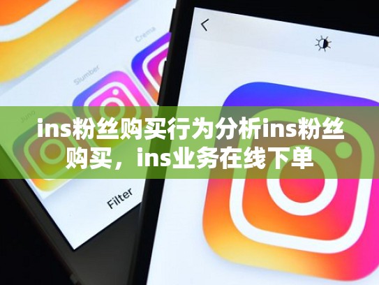 ins粉丝购买行为分析ins粉丝购买，ins业务在线下单