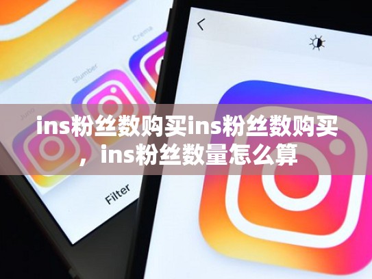 ins粉丝数购买ins粉丝数购买，ins粉丝数量怎么算