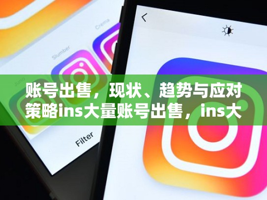 账号出售，现状、趋势与应对策略ins大量账号出售，ins大量账号出售会怎么样