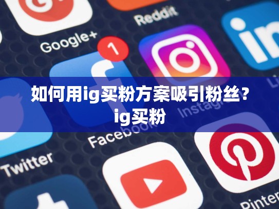 如何用ig买粉方案吸引粉丝？ig买粉