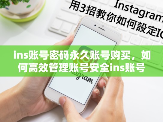 ins账号密码永久账号购买，如何高效管理账号安全ins账号密码永久账号购买，ins账号密码永久账号购买有风险吗