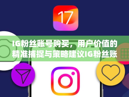 IG粉丝账号购买，用户价值的精准捕捉与策略建议IG粉丝账号购买，ig粉丝群guanfang