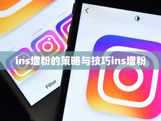 ins增粉的策略与技巧ins增粉