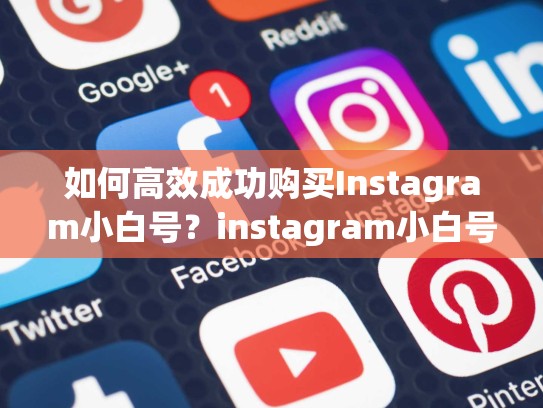 如何高效成功购买Instagram小白号？instagram小白号购买
