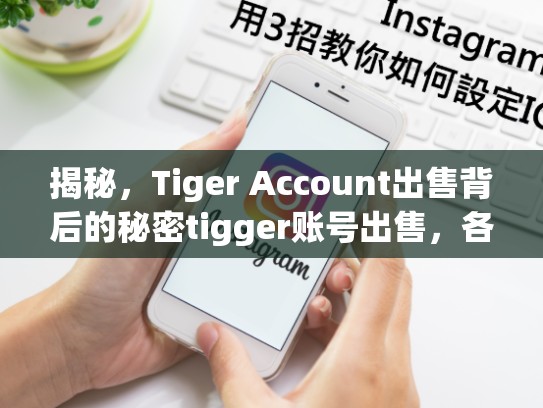 揭秘，Tiger Account出售背后的秘密tigger账号出售，各种账号出售平台