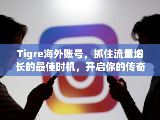 Tigre海外账号，抓住流量增长的最佳时机，开启你的传奇人生！tigre海外账号，tiktok海外账号